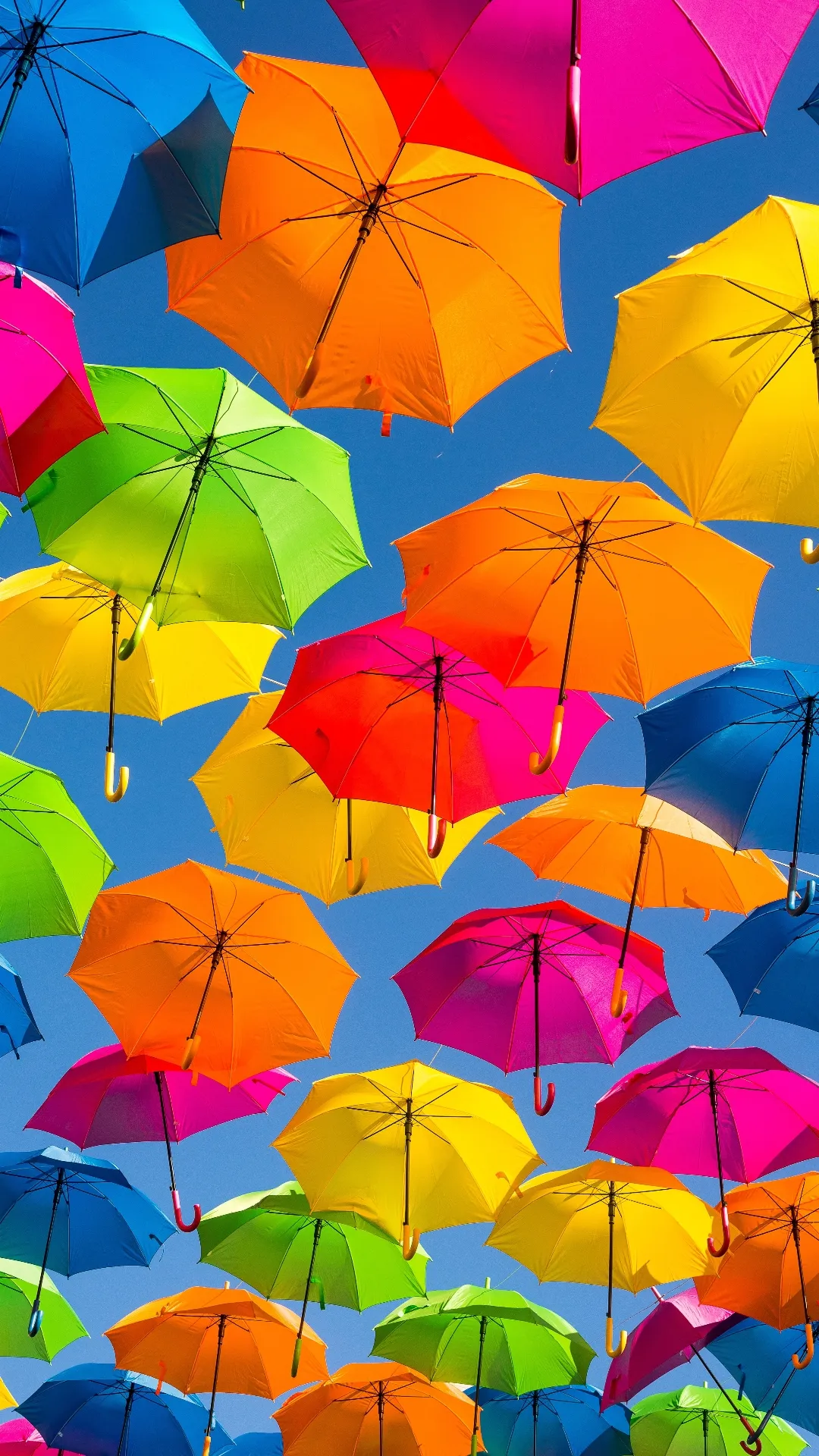 Umbrellas