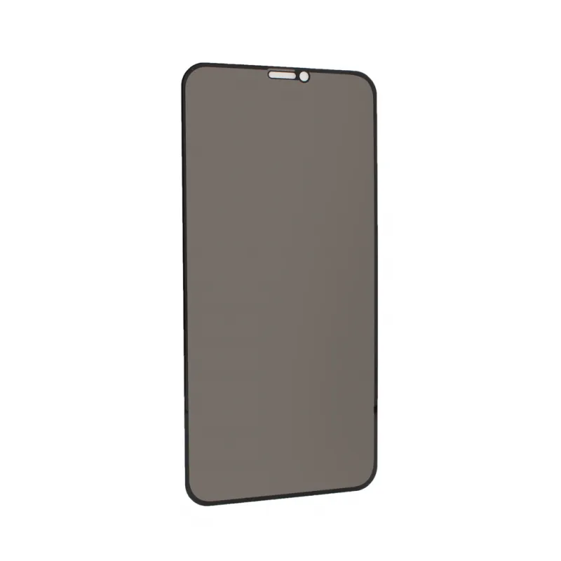 Zastitno staklo Zastitno staklo Privacy 2.5D full glue za iPhone 11 6.1 crna