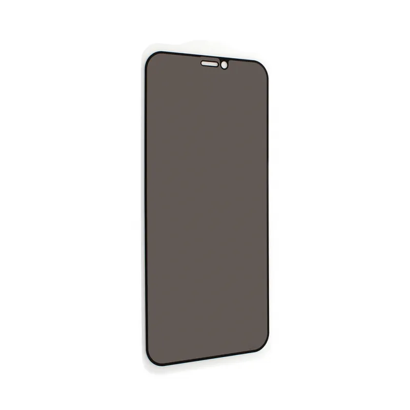 Zastitno staklo Zastitno staklo Privacy 2.5D full glue za iPhone 12 Mini 5.4 crna