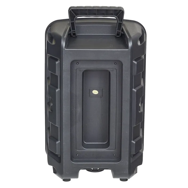 Bluetooth zvucnik NDR-P66