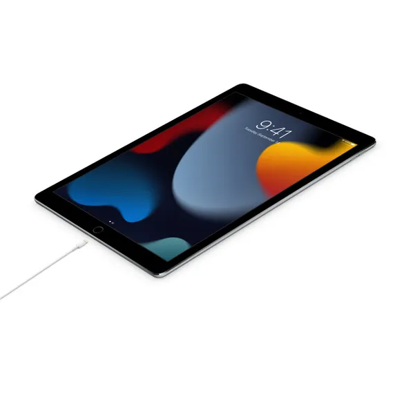 Apple data kabl Type C na Lightening 1m (MX0K2ZM/A)