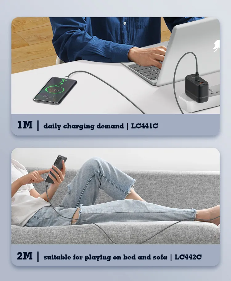 Data kabl LDNIO LC442C 65w, Type C na Type C sivi 2m