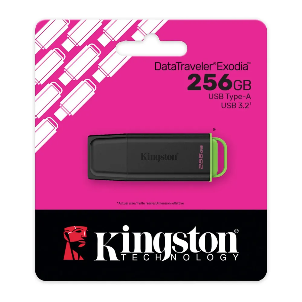 Kingston Data Traveler Exodia DTXG2 USB flash memorija 256GB 3.2 crna