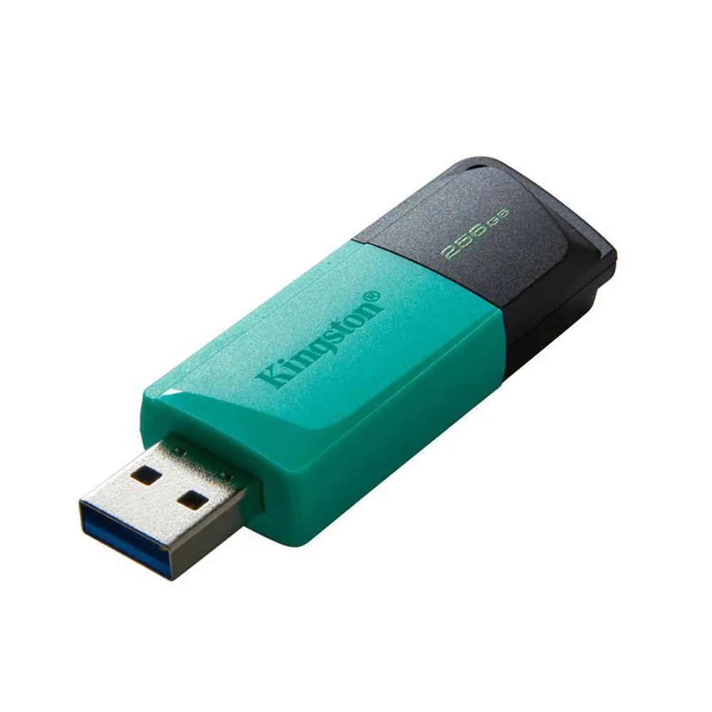 USB Flash memorija Kingston Data Traveler Exodia  3.2 256GB DTXM/256 M