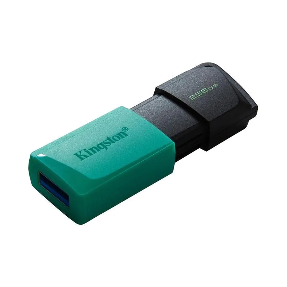 USB Flash memorija Kingston Data Traveler Exodia  3.2 256GB DTXM/256 M