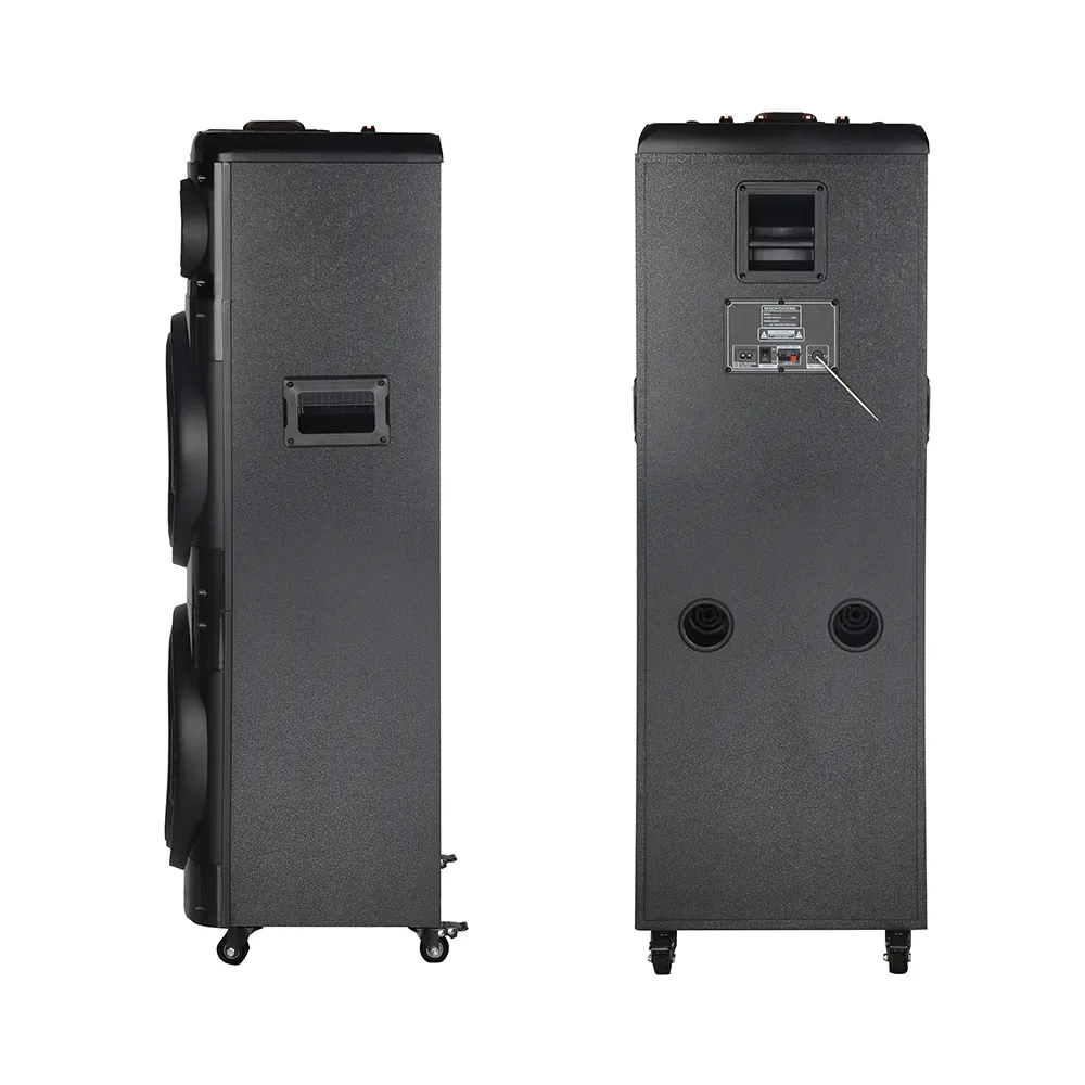 Zvucnik bluetooth NDR-2260 100W 2*12 inca sa dva mikrofona crni