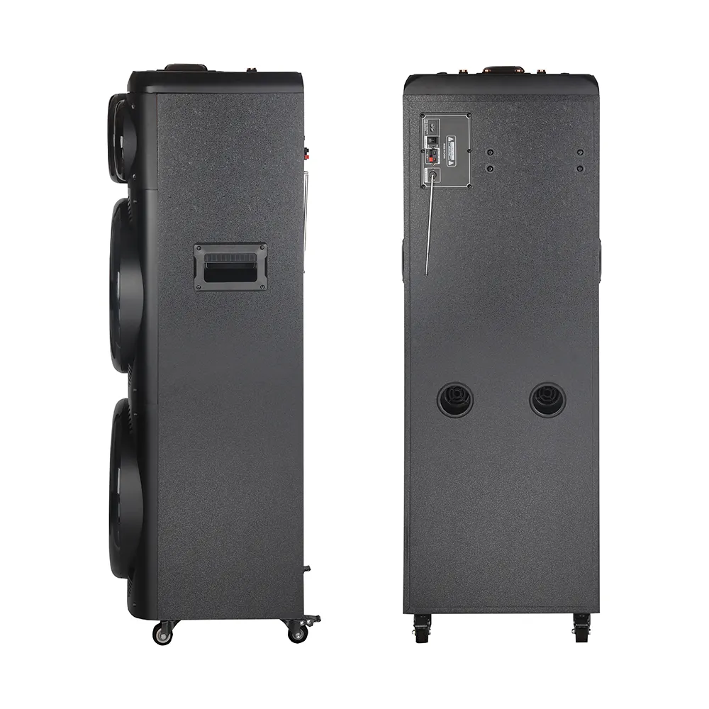 Zvucnik bluetooth NDR-2270 100W 2*12 inca sa dva mikrofona crni