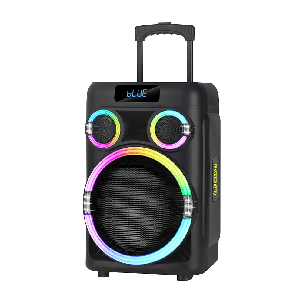 Zvucnik bluetooth NDR-B312 40W sa dva mikrofona crni