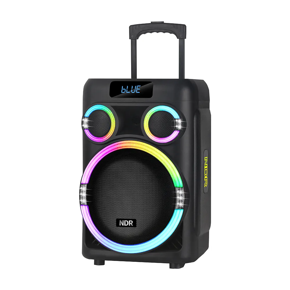 Zvucnik bluetooth NDR-B315 60W 15inca sa dva mikrofona crni