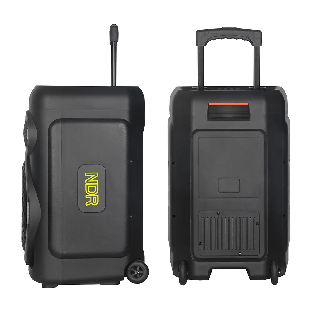 Zvucnik bluetooth NDR-B315 60W 15inca sa dva mikrofona crni
