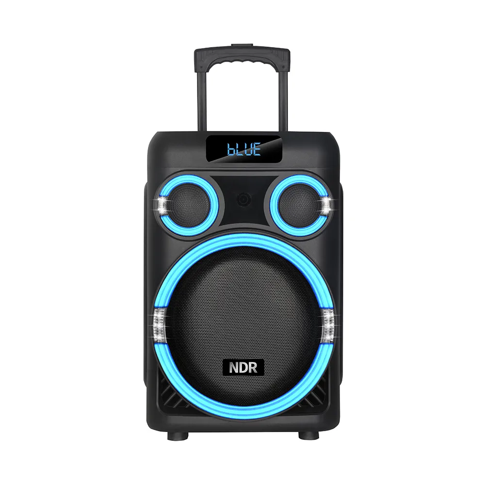 Zvucnik bluetooth NDR-B315 60W 15inca sa dva mikrofona crni