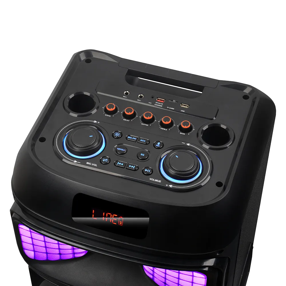 Zvucnik bluetooth NDR-2250 100W 2*12 inca sa dva mikrofona crni