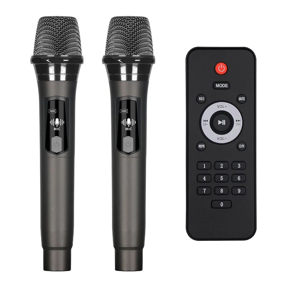 Zvucnik bluetooth NDR-2066 60W 2 x 6,5inca sa dva mikrofona providni