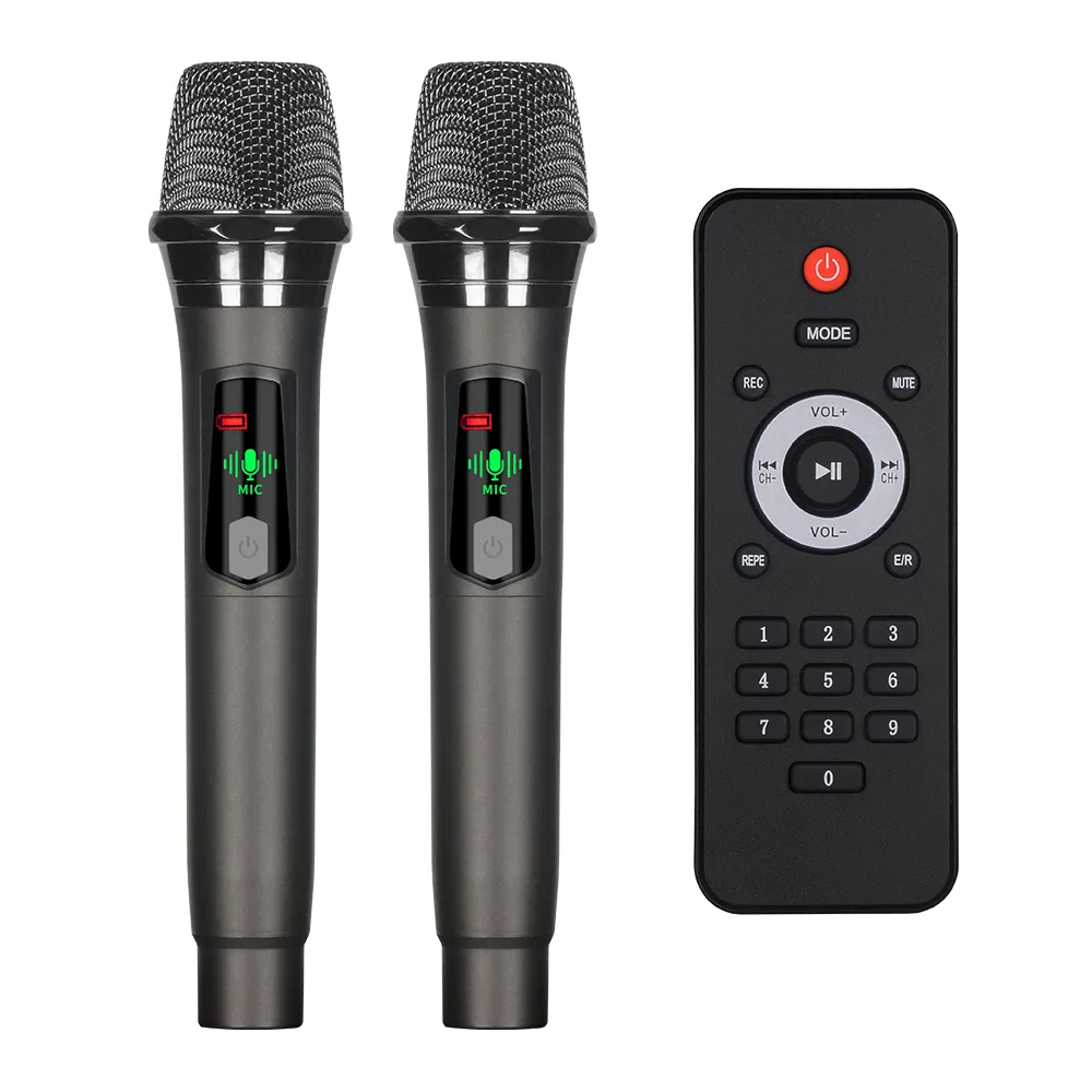 Zvucnik bluetooth NDR-S110 40W 2 x 10inca sa dva mikrofona crni