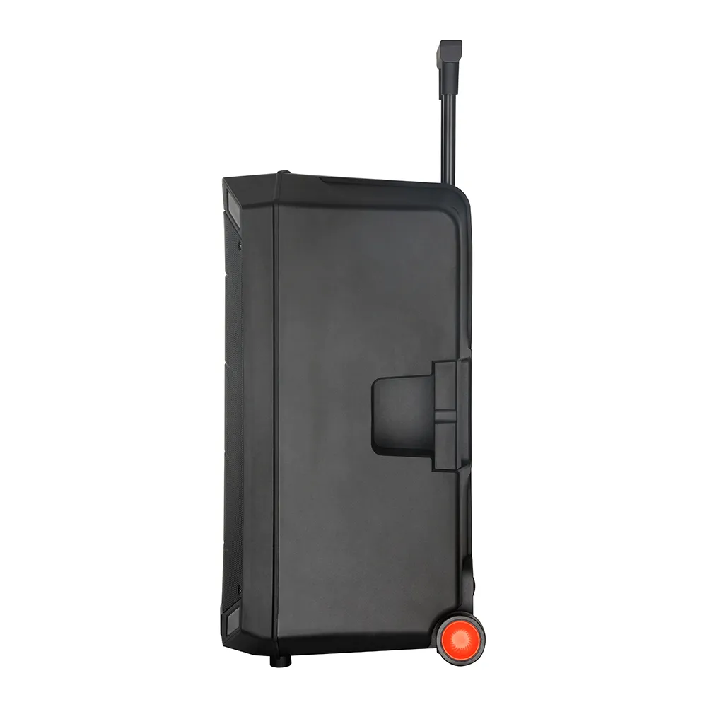 Zvucnik bluetooth NDR-B12-01 60W 12inca sa dva mikrofona crni