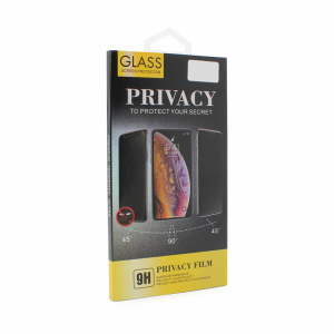 Zastitno staklo Privacy 2.5D full glue za iPhone X crni
